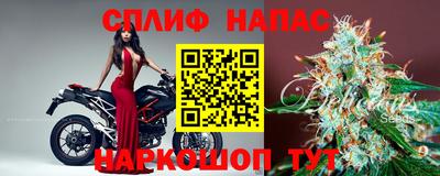 прущие грибы Балашиха
