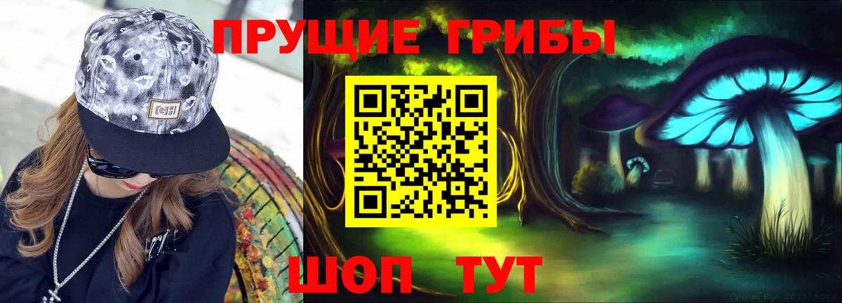 Галлюциногенные грибы Psilocybine cubensis  Вход с VPN  Джанкой 